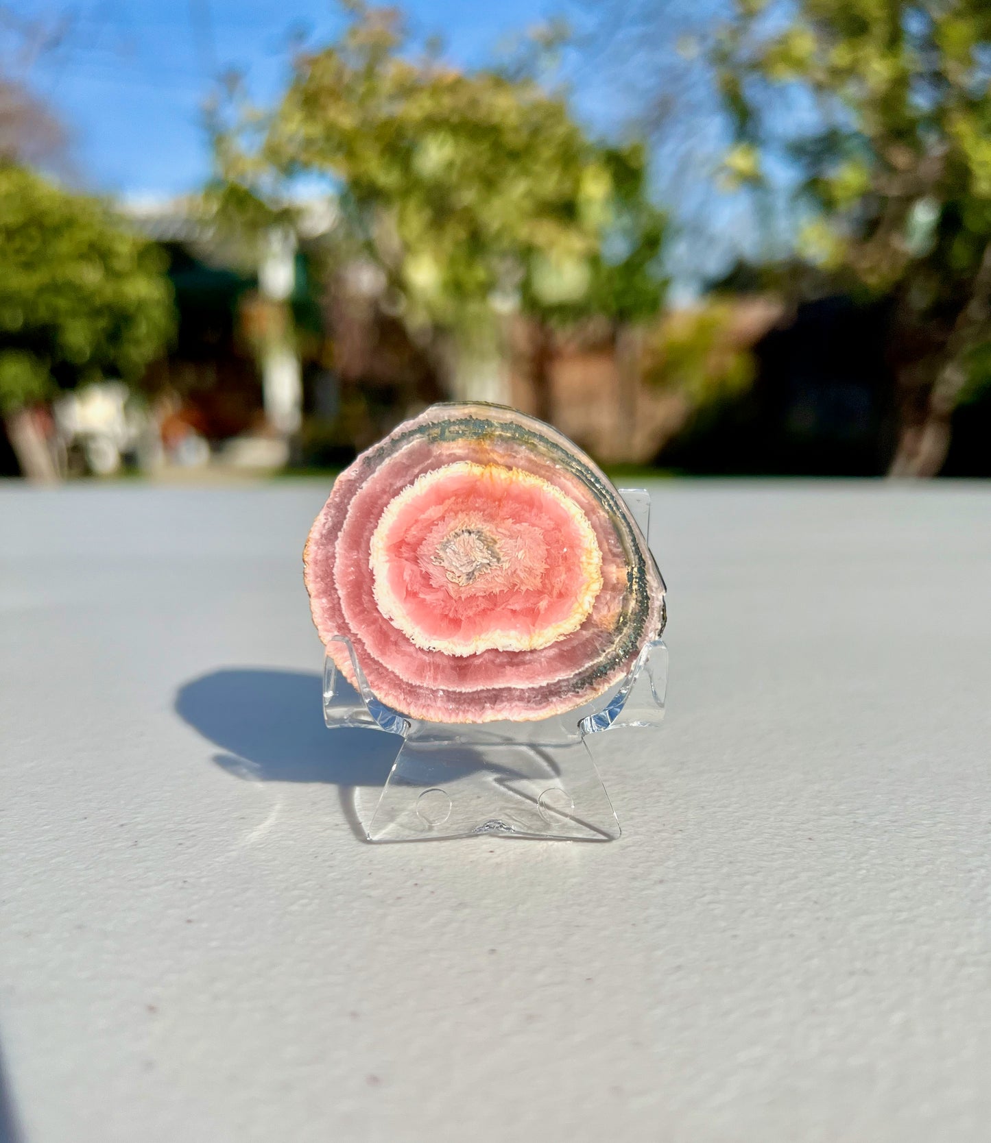 49.4g High Grade Rhodochrosite Stalactite Polished Slice from Argentina