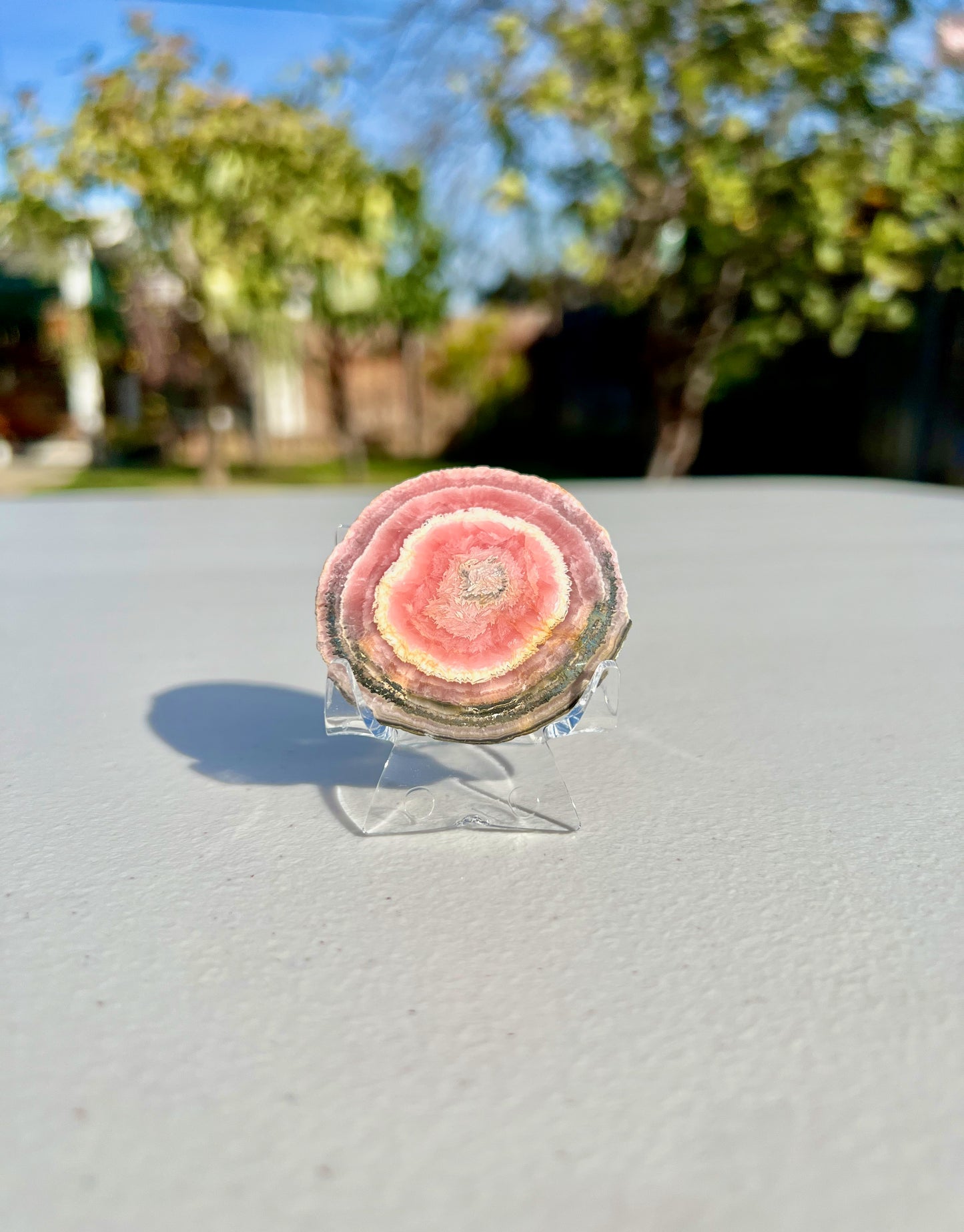 49.4g High Grade Rhodochrosite Stalactite Polished Slice from Argentina