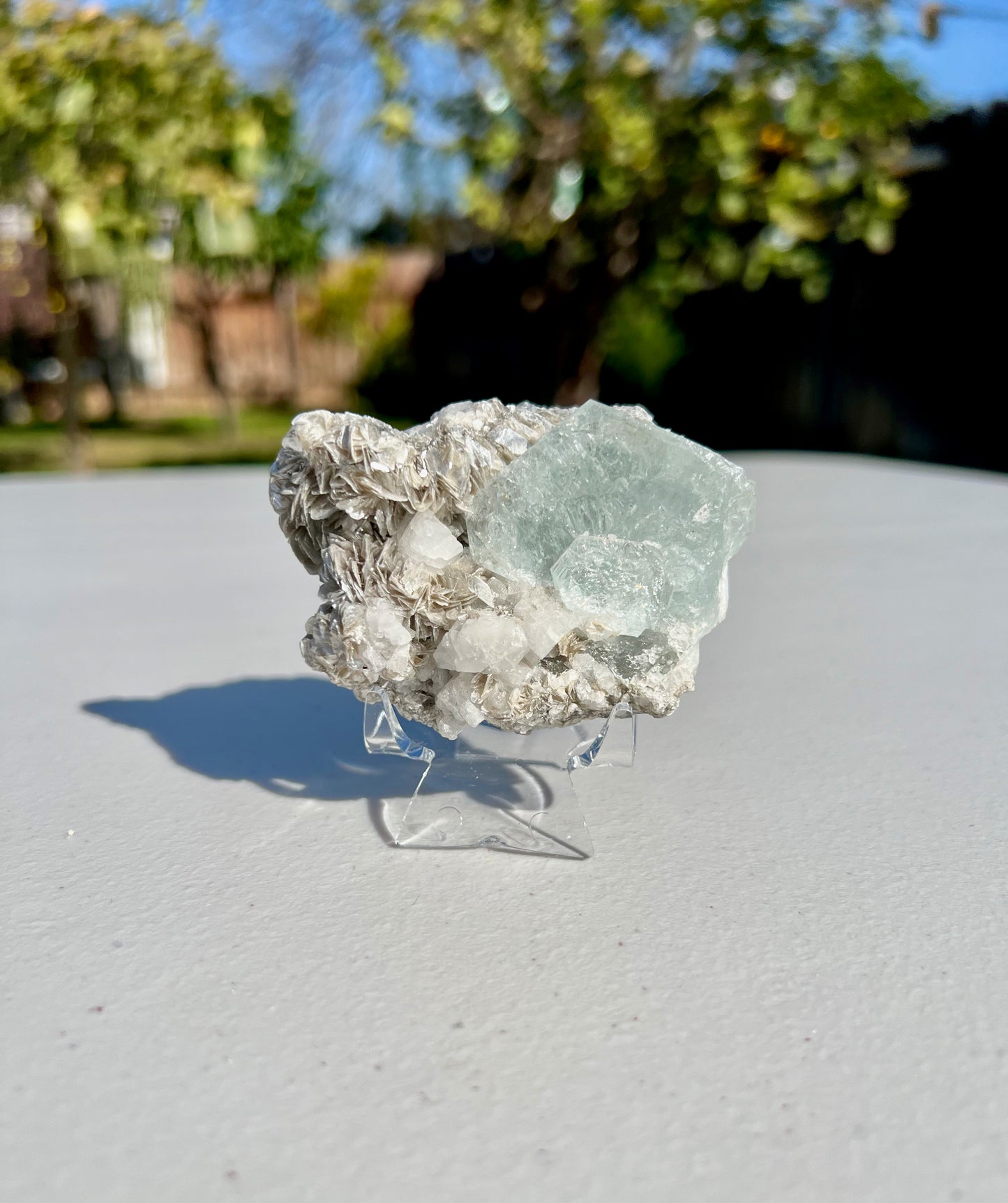 Terminated Gemstone Aquamarine Crystals Cluster Specimen on Muscovite Mica Matrix, 133.9g