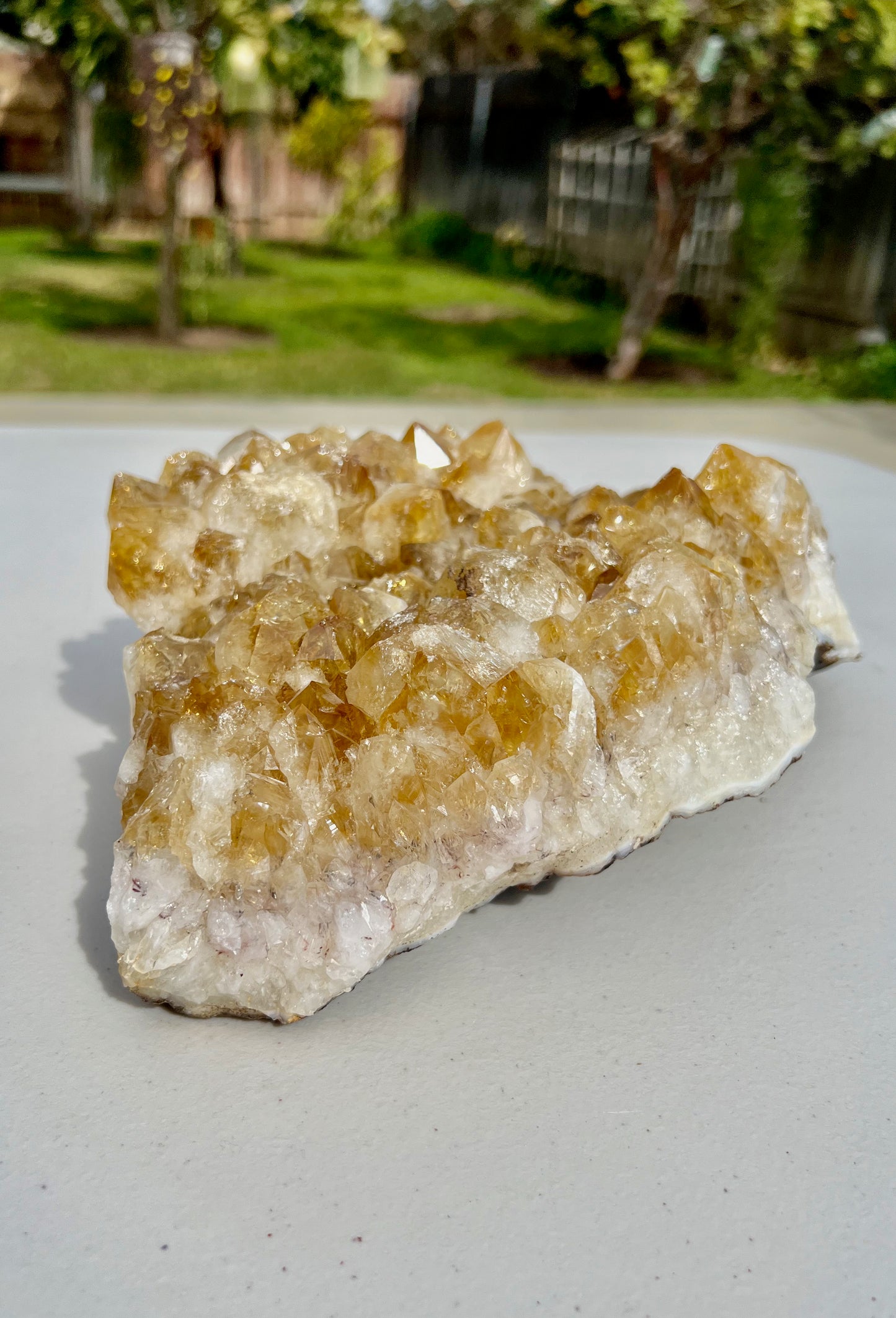 12lb High Quality X-large Citrine Large Crystal Cluster